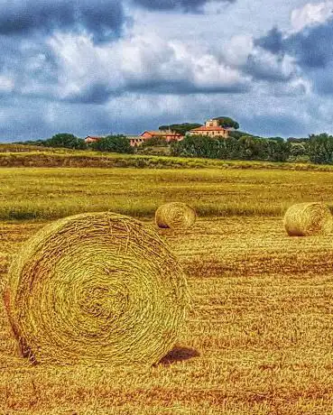 Giro della sorgente