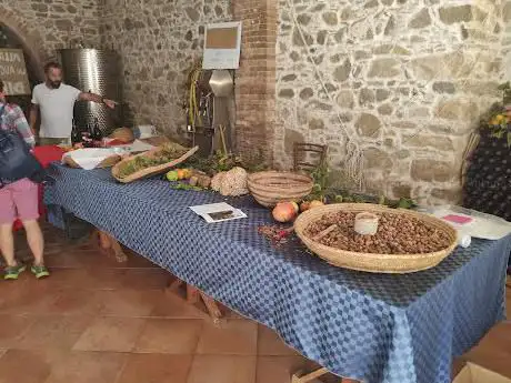 Museum House Luigi Serra