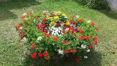 Photo de The gardens of Aimé