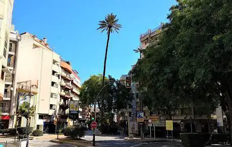 Plaza de La Palmera