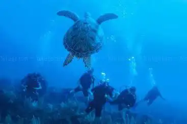 Photo de Aquatech Diving Centre