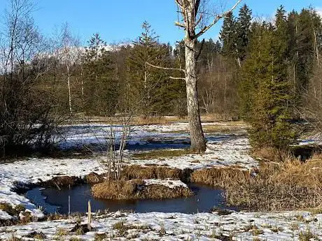 Seewadel