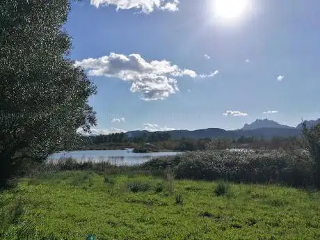 Photo de Riserva Naturale Padula Saloni
