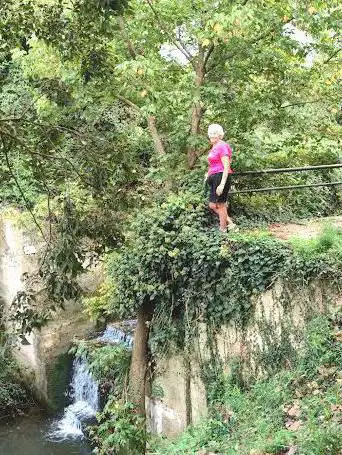 Photo de Àrea de descans de la bassa dels ànecs