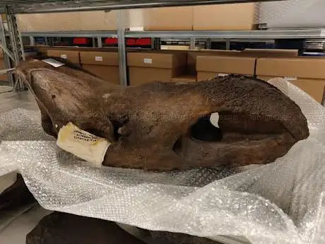 Erfpunt - archeologie bouwkundig en landschappelijk erfgoed