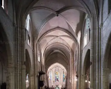 Photo de Paroisse Saint-Pierre de Montmartre