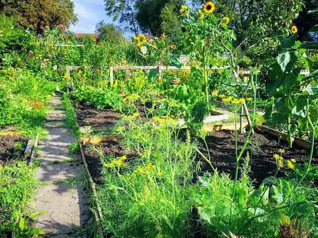 Photo de Chadwick Park Allotment