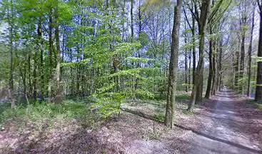 Lembecq Woods