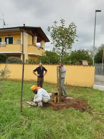Photo de Giardini Comunali di Campo Jemini