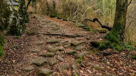Grau d'Olot