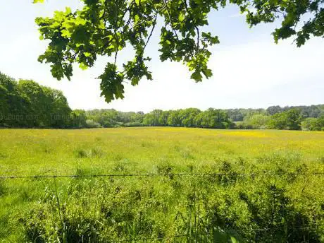 Photo de Happy Bottom Nature Reserve