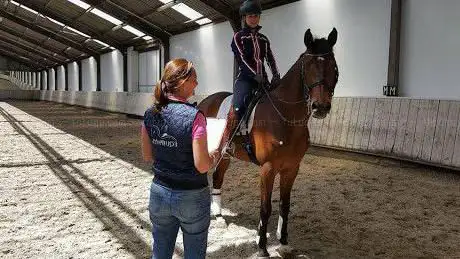 EQUIPHYS - Paard en ruiter fysiotherapeutisch begeleiden