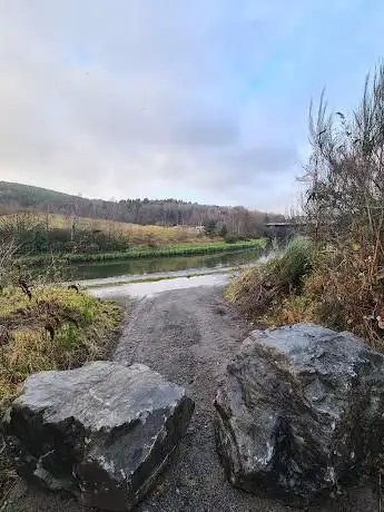 Kilvey Hill Community Woodland