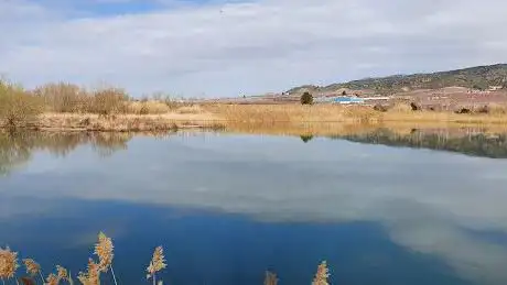 Photo de Passarel·la del Segre