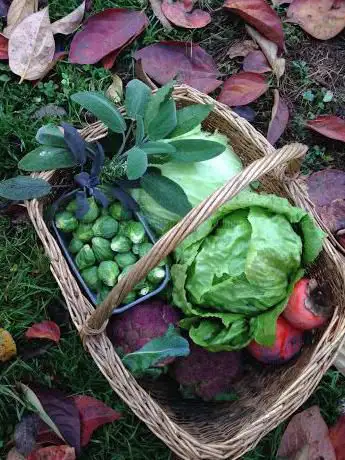 Photo de Al Podere delle Emozioni Perdute