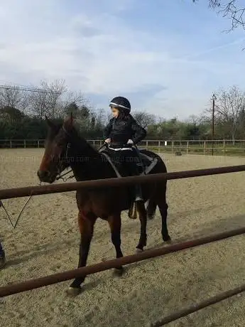 Photo de Bvl Horse
