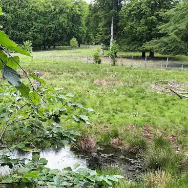 Aussichtsturm zu Wildpark Weiskirchen am großen Gehege