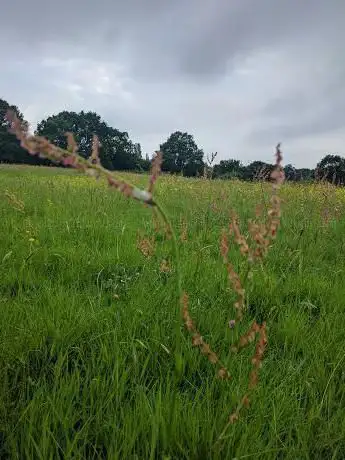 Photo de Totteridge Park
