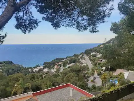 Mirador