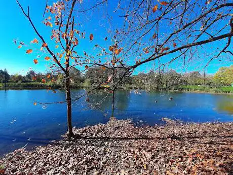 Stagno della Pellerina