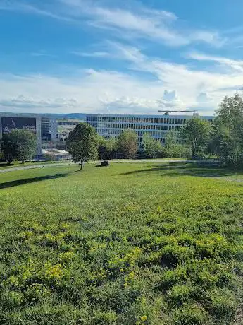 Flughafen Park