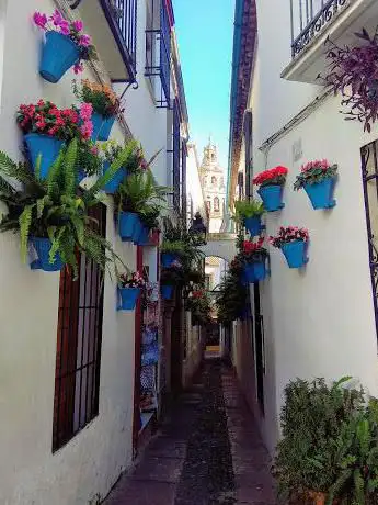 Photo de CORDOGUIA