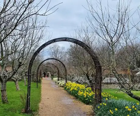 Photo de Walled Garden