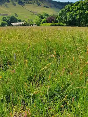 Photo de Mellor's Gardens
