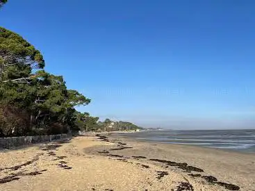 Photo de Plage de Taussat