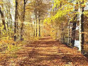 Photo de Trail parcours
