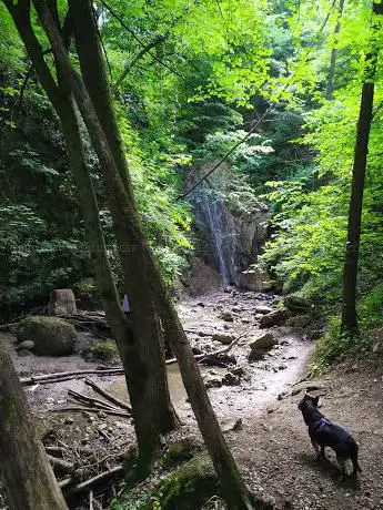 Sentiero Rio Crivella