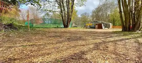 Photo de Brandon dog field