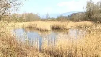 Étangs de la mauguettaz