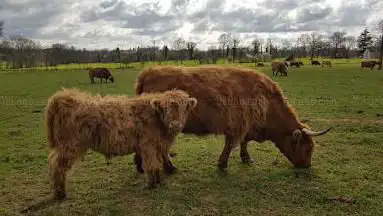 Photo de Ferme Pradenn