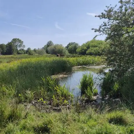 Photo de Darsham Marshes