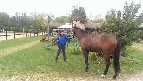 Circolo Ippico AJT