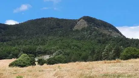 Testa del Leone