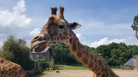 Zoo de Jurques