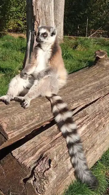 Photo de Parc zoologique de Pescheray