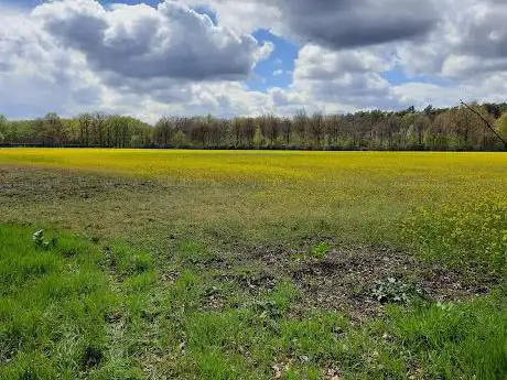 Photo de Kempens Landschap - De Caters