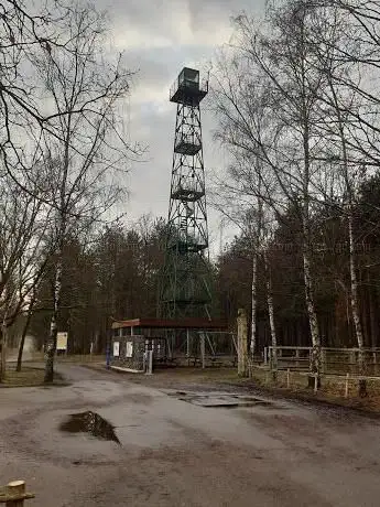 Brandtoren natuur en bos