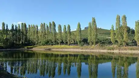 Lago 