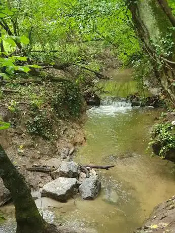 Sentier de la cascade