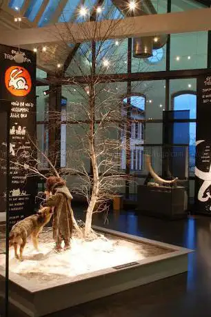 Kantonales Museum für Urgeschichte