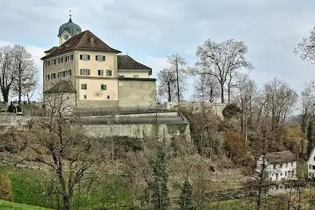 Schloss Grüningen