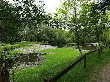 Photo de Parc de Creach Ar Roual