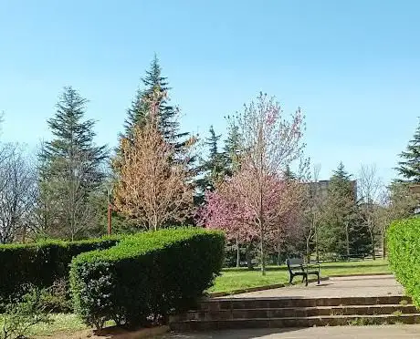 Photo de Floridako Parkea