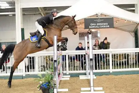 Photo de High Legh Riding Centre