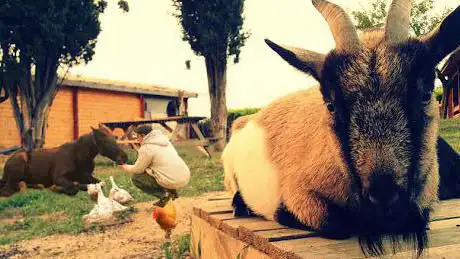 Photo de Ferme Habitat Solidaire