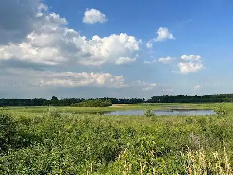 Vogeluitkijk de gluurmuur